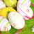 Pasqua 2017